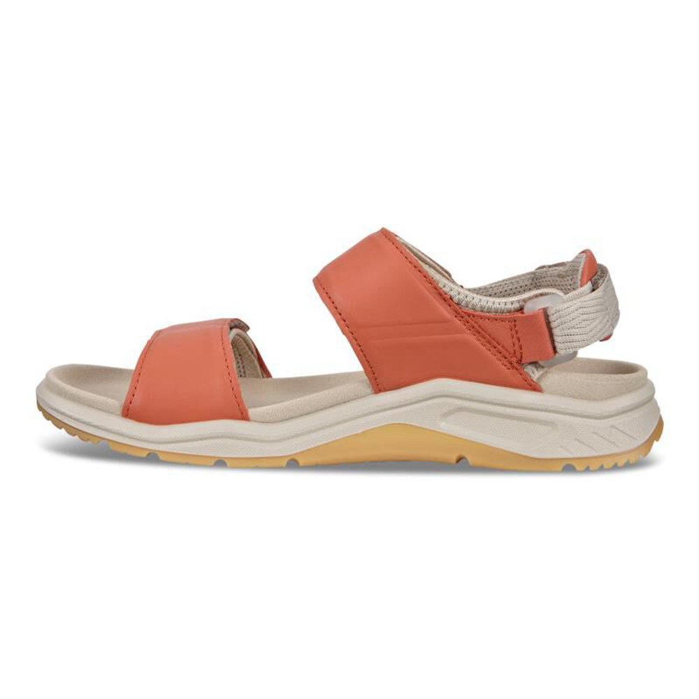 Sandalias Mujer - ECCO X-Trinsic Flat - Albaricoque - LWN465180